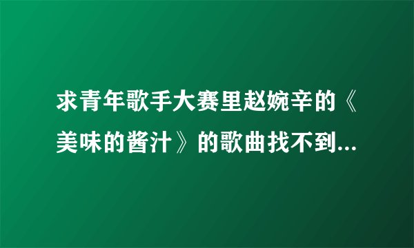 求青年歌手大赛里赵婉辛的《美味的酱汁》的歌曲找不到，请问是哪首歌？
