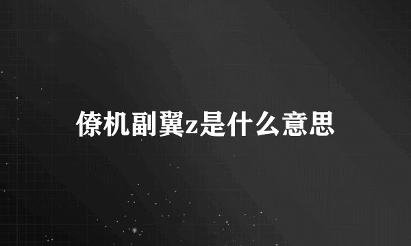 僚机副翼z是什么意思