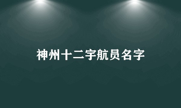 神州十二宇航员名字