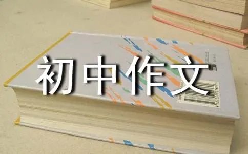 初中作文600字