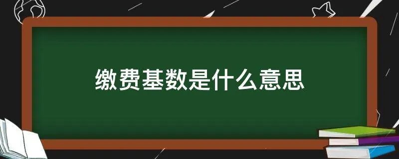 缴费基数是什么意思