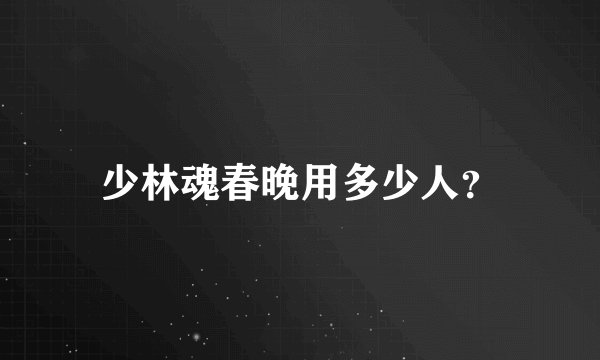 少林魂春晚用多少人？