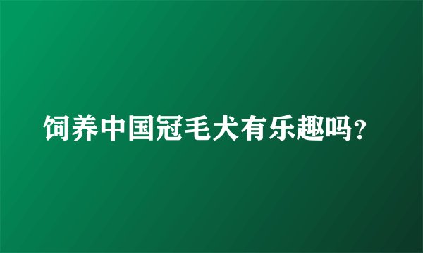 饲养中国冠毛犬有乐趣吗？