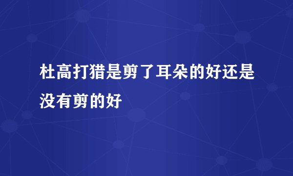 杜高打猎是剪了耳朵的好还是没有剪的好
