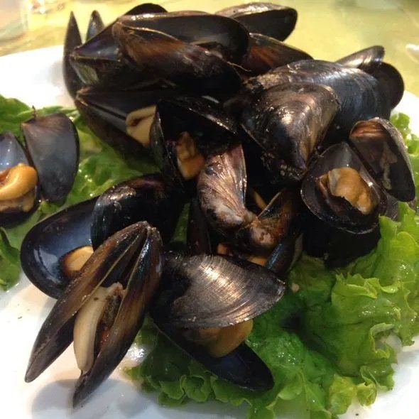 假期去海边不要食用海虹,食用海虹都有什么危害?