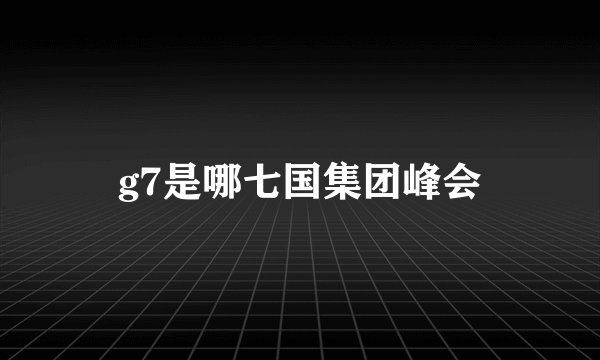 g7是哪七国集团峰会