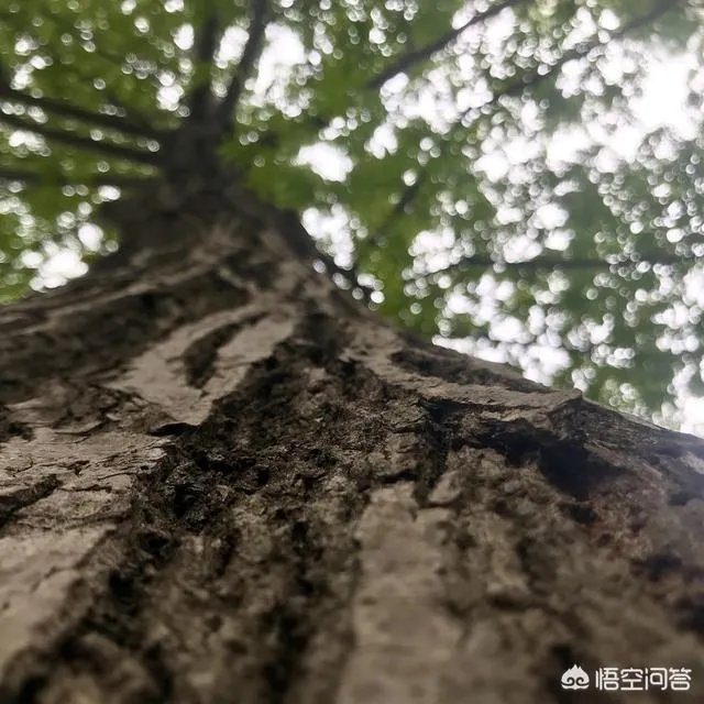 在南京的90后都从事什么行业?过得怎么样?