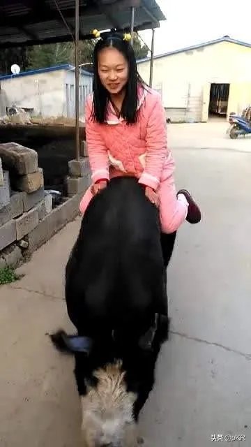 藏品在家不拿出去能私下交易吗?怎样才能把藏品卖出去?