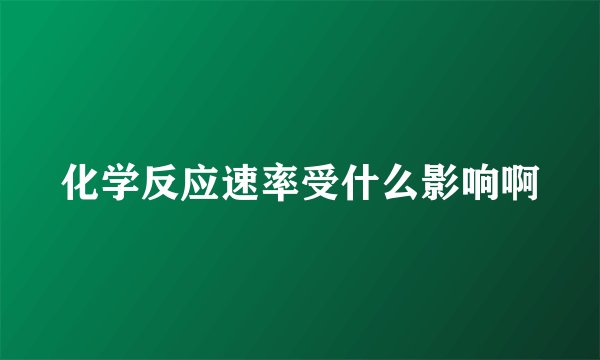 化学反应速率受什么影响啊