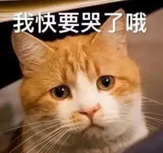 #吐槽#去朋友家上厕所,马桶漏水也太尴尬了吧