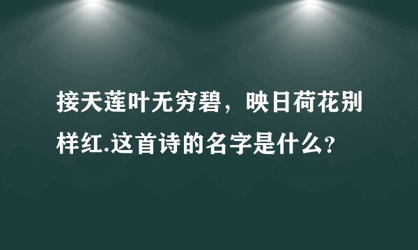 接天莲叶无穷碧，映日荷花别样红.这首诗的名字是什么？