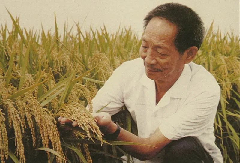 袁隆平和钟南山相差多少岁？他们为中国做了哪些贡献？