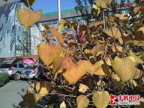 娱乐新旗舰 HTC HD7多媒体拍照专项评测
