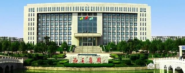 山东的西王村,到底有多富?