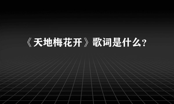 《天地梅花开》歌词是什么?