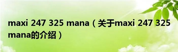 maxi 247 325 mana（关于maxi 247 325 mana的介绍）