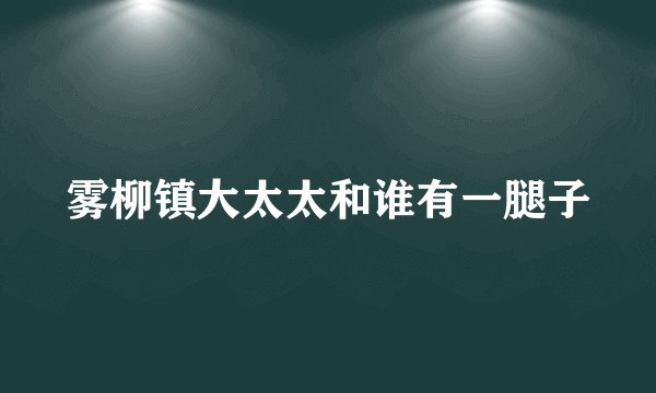 雾柳镇大太太和谁有一腿子