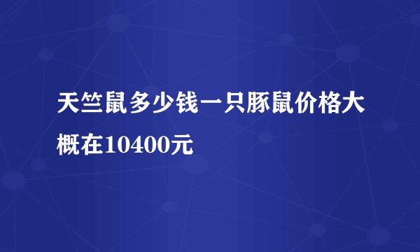 天竺鼠多少钱一只豚鼠价格大概在10400元