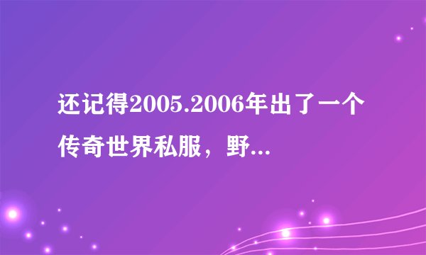 还记得2005.2006年出了一个传奇世界私服,野外刷小泉纯二狼的怪,极品大爆?