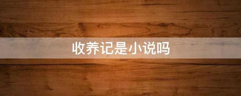 收养记是小说吗