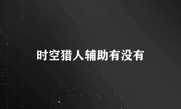 时空猎人辅助有没有