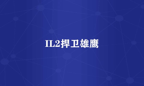 IL2捍卫雄鹰