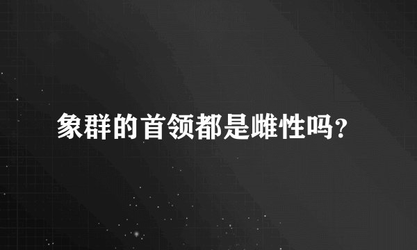 象群的首领都是雌性吗?