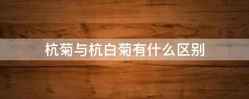 杭菊与杭白菊有什么区别