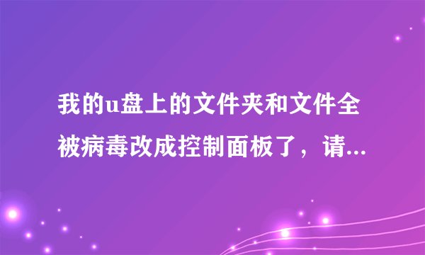 我的u盘上的文件夹和文件全被病毒改成控制面板了,请问各位有没有解决方案?