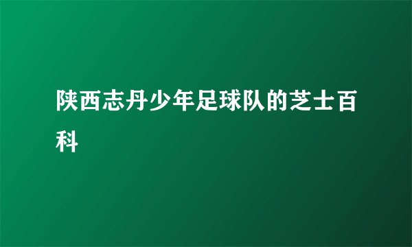 陕西志丹少年足球队的芝士百科
