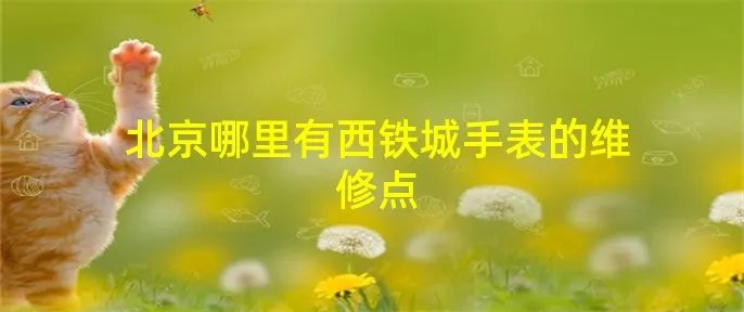 北京哪里有西铁城手表的维修点