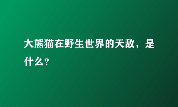 大熊猫在野生世界的天敌,是什么?
