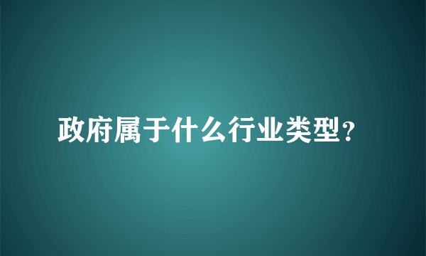 政府属于什么行业类型？