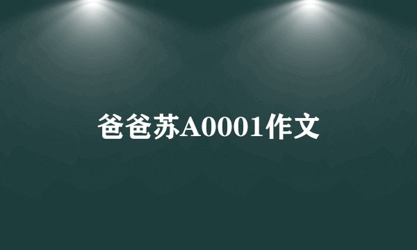 爸爸苏A0001作文