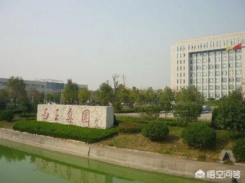 山东的西王村,到底有多富?