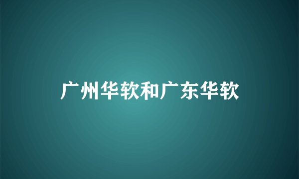 广州华软和广东华软