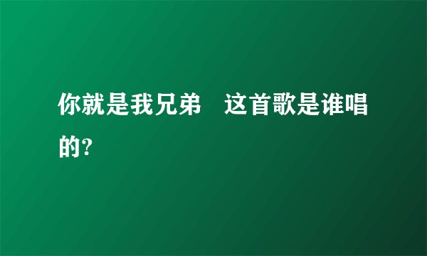 你就是我兄弟 这首歌是谁唱的?