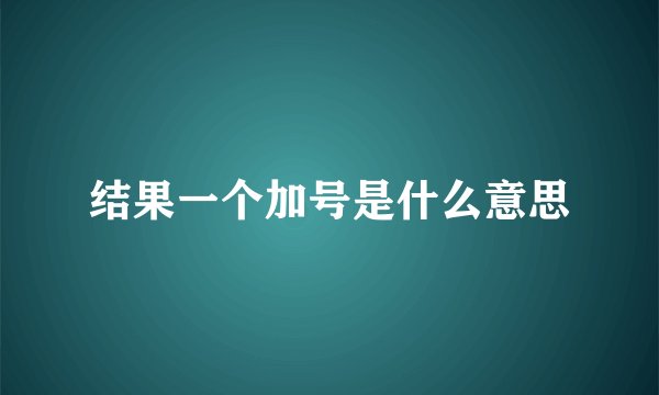 结果一个加号是什么意思