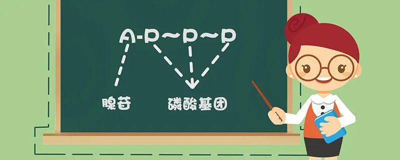 atp是什么