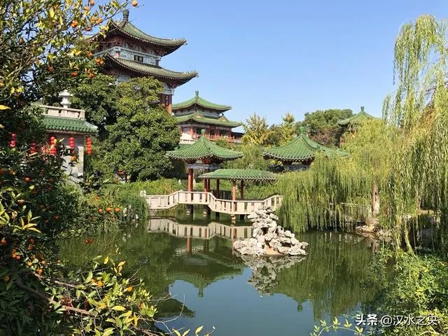 沈伟和金星