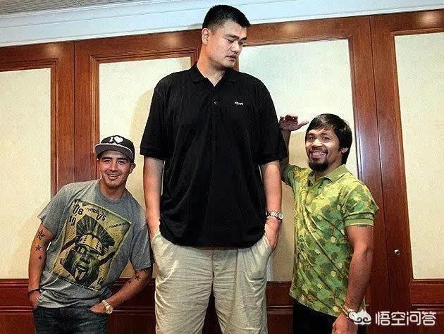 你觉得NBA球星和姚明一起合影会是什么效果?