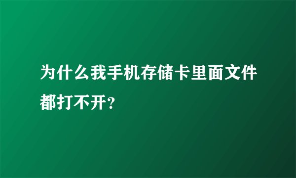 为什么我手机存储卡里面文件都打不开？