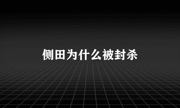 侧田为什么被封杀