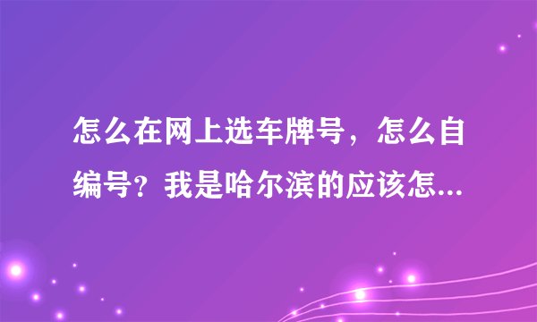 怎么在网上选车牌号，怎么自编号？我是哈尔滨的应该怎么弄。网址多少？