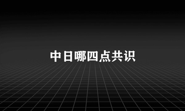中日哪四点共识