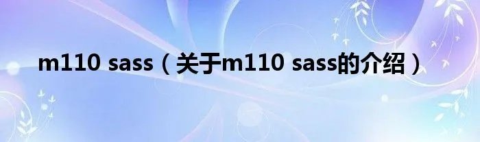 m110 sass（关于m110 sass的介绍）