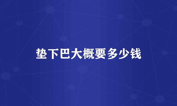 垫下巴大概要多少钱