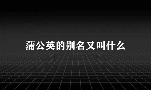 蒲公英的别名又叫什么