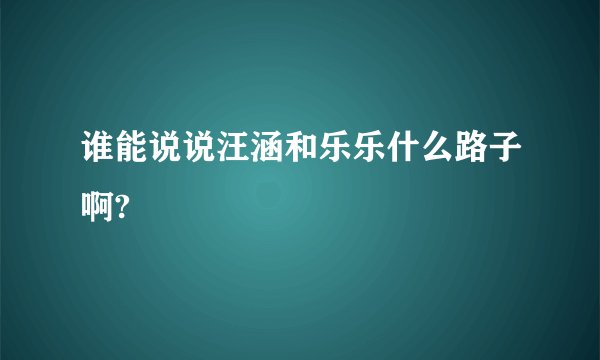 谁能说说汪涵和乐乐什么路子啊?