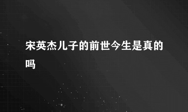 宋英杰儿子的前世今生是真的吗